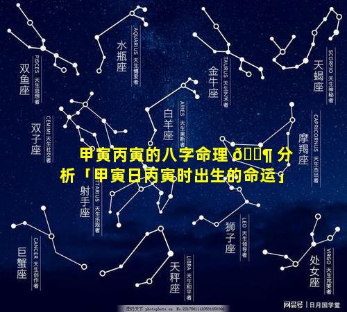 甲寅丙寅的八字命理 🐶 分析「甲寅日丙寅时出生的命运」